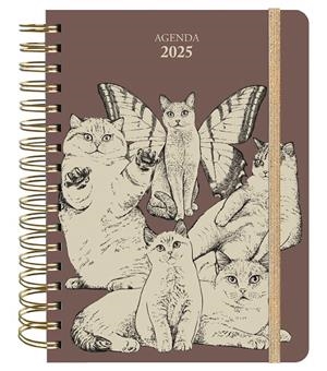 AGENDA ANUAL SEMANAL 2025 LAURA AGUSTÍ | 9788419215338 | AGUSTÍ, LAURA (LALAURI)