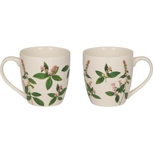 TAZA DE PORCELANA HIERBAS AROMÁTICAS COLLECTION | 4029753220929