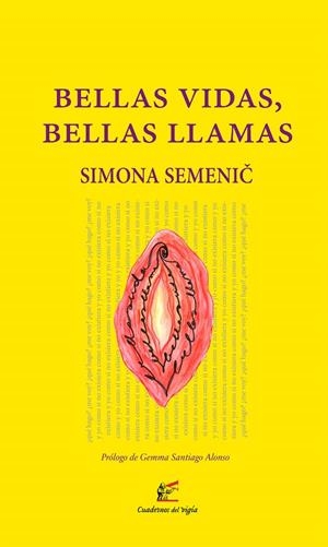 BELLAS VIDAS, BELLAS LLAMAS | 9788412654080 | SEMENIC, SIMONA