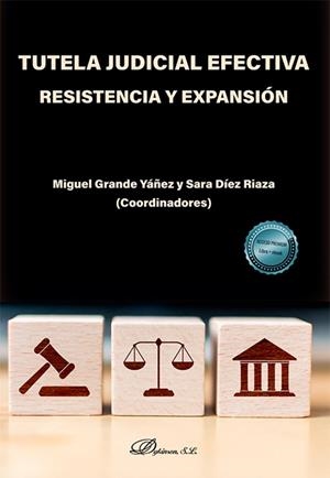 TUTELA JUDICIAL EFECTIVA RESISTENCIA Y EXPANSIÓN | 9788410701632 | GRANDE YÁÑEZ, MIGUEL / DÍEZ RIAZA, SARA