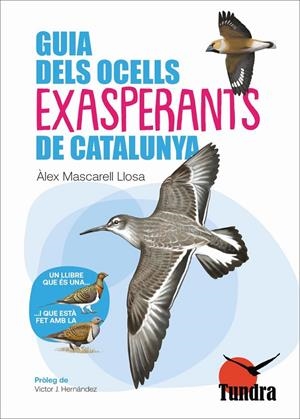 GUIA DELS OCELLS EXASPERANTS DE CATALUNYA | 9788419624802 | MASCARELL, ÀLEX