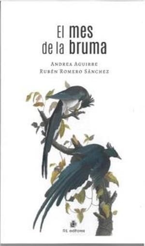 MES DE LA BRUMA | 9788410248304 | AGUIRRE, ANDREA