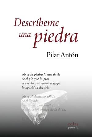 DESCRIBEME UNA PIEDRA | 9788410057661 | ANTON, PILAR