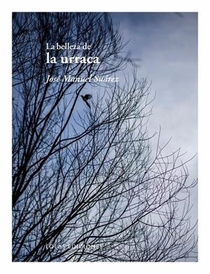 BELLEZA DE LA URRACA, LA | 9788410057562 | SUÁREZ, JOSÉ MANUEL