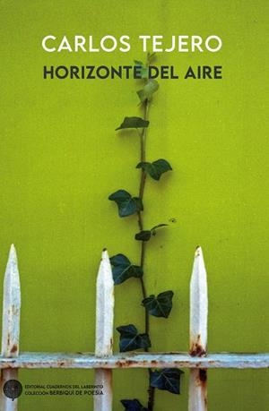 HORIZONTE DEL AIRE | 9788418997716 | TEJERO, CARLOS