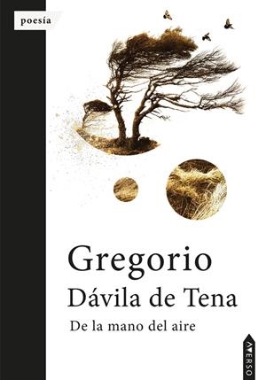 DE LA MANO DEL AIRE | 9788410027411 | DAVILA DE TENA, GREGORIO