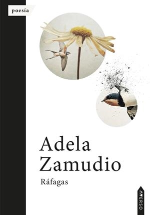 RÁFAGAS | 9788410027459 | ZAMUDIO, ADELA