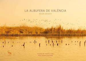 ALBUFERA DE VALENCIA, LA | 9788410046320 | SOLBES ESPINOSA, JUAN