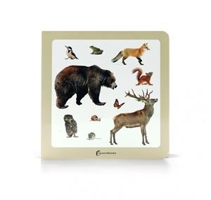 ANIMALS DEL BOSC | 9788412804386