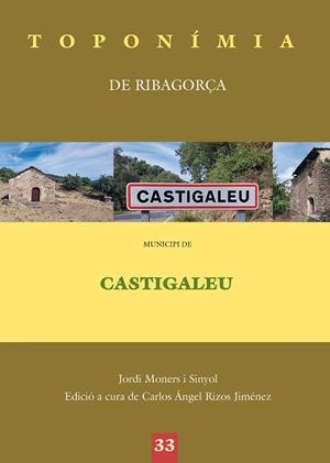 TOPONÍMIA DE RIBAGORÇA. MUNICIPI DE CASTIGALEU | 9788413035840 | MONERS SINYOL, JORDI