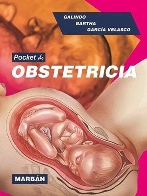 OBSTETRICIA | 9788419356574 | GALINDO / BARTHA