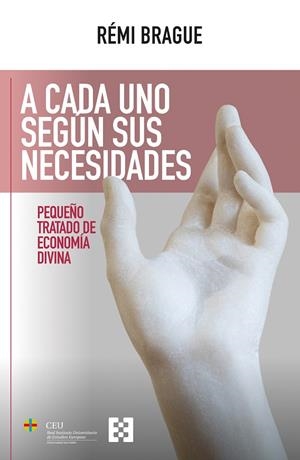 A CADA UNO SEGÚN SUS NECESIDADES | 9788413392080 | BRAGUE, RÉMI