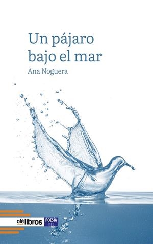 PÁJARO BAJO EL MAR, UN | 9788410053304 | NOGUERA MONTAGUD, ANA