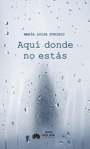 AQUÍ DONDE NO ESTÁS | 9788410162990 | TORIBIO, MARIA LUISA
