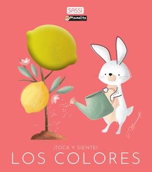 COLORES TOCA Y SIENTE | 9788419935885 | MANUZATTO, V. / BONAGURO, V.