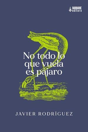 NO TODO LO QUE VUELA ES PÁJARO | 9788412492347 | RODRIGUEZ, JAVIER