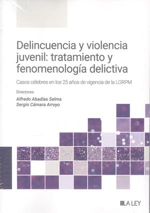 DELINCUENCIA Y VIOLENCIA JUVENIL TRATAMIENTO Y FENOMENOLOGIA DELICTIVA | 9788410292352 | ABADÍAS SELMA, ALFREDO / CAMARA ARROYO, SERGIO