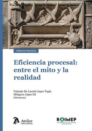 EFICIENCIA PROCESAL : ENTRE EL MITO Y LA REALIDAD | 9791387543167 | DE LUCCHI, YOLANDA