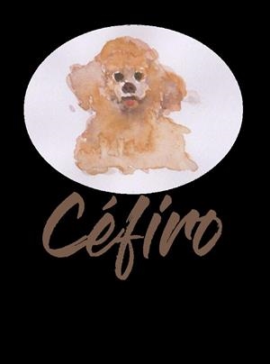 CEFIRO | 9788412923193 | RUIZ RODRIGUEZ, EDUARDO ANTONIO