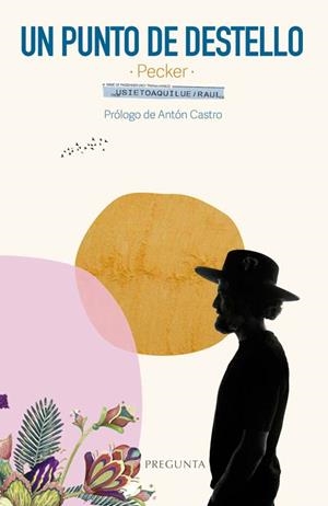 PUNTO DE DESTELLO, UN | 9788419766571 | USIETO AQUILUÉ, RAÚL