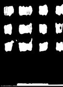 JORDI COLOMER. FAÇANA FOTO FESTA FUTUR FIDEUS [CASTELLANO] | 9788417593377 | DYANGANI OSE, ELVIRA /  PERAN, MARTÍ /  CASINI IGNASI, BENEDETTA