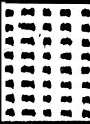 JORDI COLOMER. FAÇANA FOTO FESTA FUTUR FIDEUS [INGLÉS] | 9788417593384 | DYANGANI OSE, ELVIRA /  PERAN, MARTÍ /  CASINI IGNASI, BENEDETTA