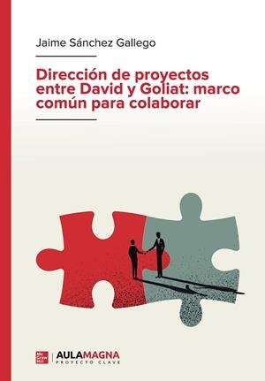 DIRECCIÓN DE PROYECTOS ENTRE DAVID Y GOLIAT : MARCO COMÚN PARA COLABORAR | 9788410066557 | SÁNCHEZ GALLEGO, JAIME