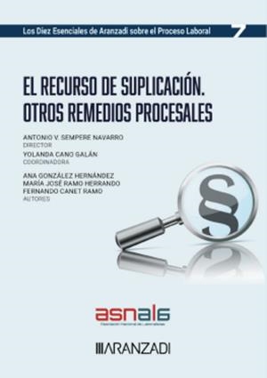 RECURSO DE SUPLICACIÓN. OTROS REMEDIOS PROCESALES | 9788410783966 | GONZALEZ, ANA