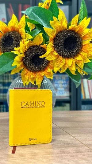 CAMINO (BOLSILLO PIEL SINTETICA) | 9788432168031 | ESCRIVA DE BALAGUER, JOSEMARIA