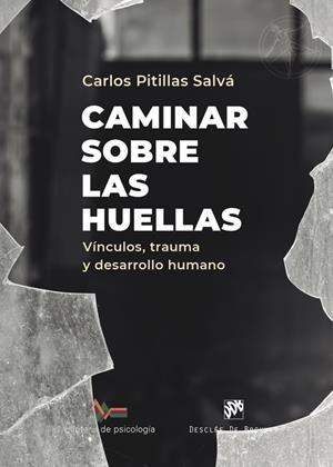 CAMINAR SOBRE LAS HUELLAS | 9788433032928 | PITILLAS SALVA, CARLOS