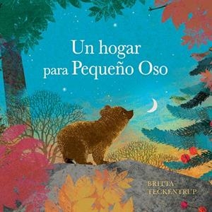 HOGAR PARA PEQUEÑO OSO, UN | 9788410074705 | TECKENTRUP, BRITTA