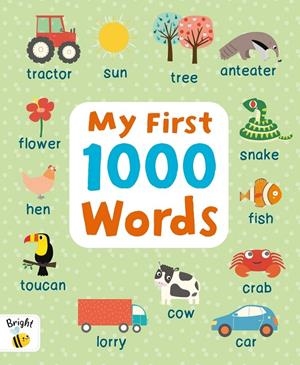 MY FIRST 1000 WORDS. BRIGHT BEE PICTURE DICTIONARY | 9781837951437