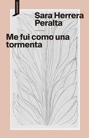 ME FUI COMO UNA TORMENTA | 9788419490407 | HERRERA PERALTA, SARA