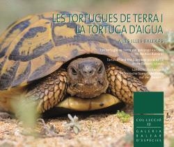 TORTUGUES DE TERRA I LA TORTUGA D'AIGUA A LES ILLES BALEARS, LES | 9788412955903 | LATORRE, LUCIA