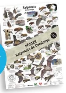 RATPENATS DE CATALUNYA (POSTER) | 9788413564630 | LLOBET, TONI