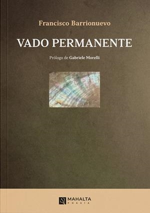 VADO PERMANENTE | 9788412941920 | BARRIONUEVO, FRANCISCO
