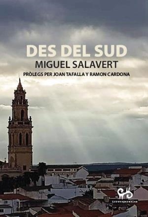 DES DEL SUD | 9788485209811 | SALAVERT, MIGUEL