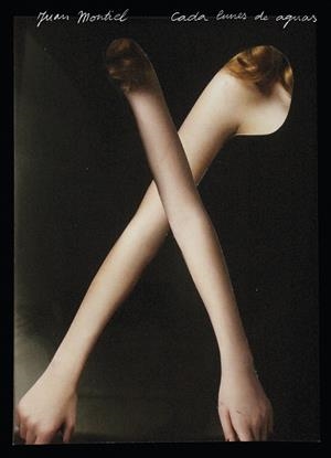 CADA LUNES DE AGUAS | 9788419737397 | MONTIEL, JUAN