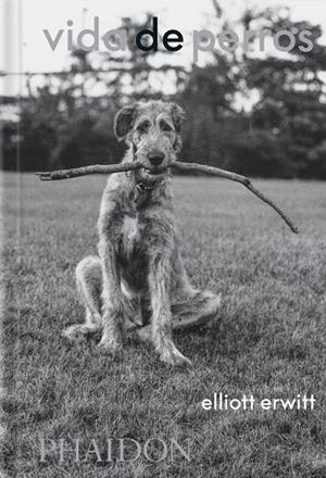 VIDA DE PERROS | 9781838669744 | ERWITT, ELLIOTT / WODEHOUSE, P. G.