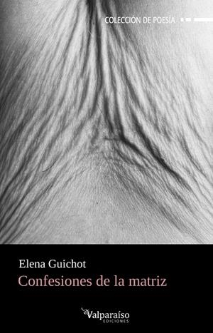 CONFESIONES DE LA MATRIZ | 9791387538200 | GUICHOT, ELENA