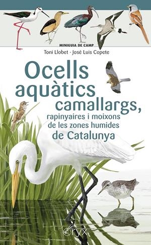 OCELLS AQUÀTICS CAMALLARGS, RAPINYAIRES I MOIXONS DE LES ZONES HUMIDES DE CATALUNYA | 9788413564746 | COPETE, JOSÉ LUIS