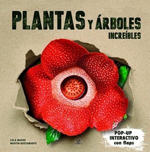 PLANTAS Y ARBOLES INCREIBLES | 9788466243872 | MAESO FERNANDEZ, MARIA DOLORES