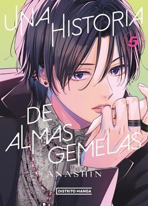 HISTORIA DE ALMAS GEMELAS 05, UNA | 9788419819628 | ANASHIN