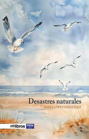 DESASTRES NATURALES | 9788410053731 | LOPEZ GONZALEZ, SOFIA