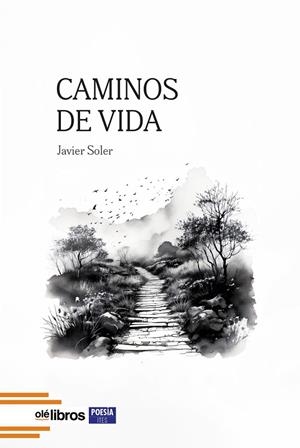CAMINOS DE VIDA | 9788410053892 | SOLER NAVARRETE, JAVIER