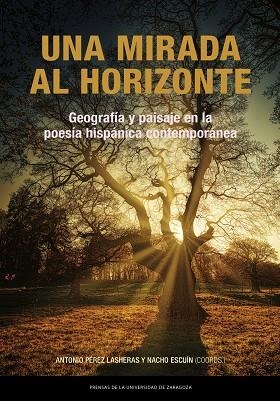 MIRADA AL HORIZONTE, UNA. GEOGRAFIA Y PAISAJE EN LA POESIA HISPÁNICA CONTEMPORANEA | 9788413409306 | PEREZ LASHERAS, ANTONIO