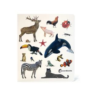 ANIMALES! | 9788412906882