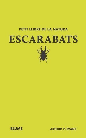 PETIT LLIBRE DE LA NATURA. ESCARABATS | 9788410268746 | EVANS, ARTHUR V.