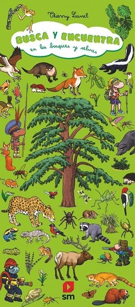 BUSCA Y ENCUENTRA EN LOS BOSQUES Y SELVAS | 9788411827089 | LAVAL, THIERRY