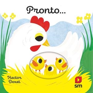 PRONTO | 9788411827874 | DEXET, HÉCTOR